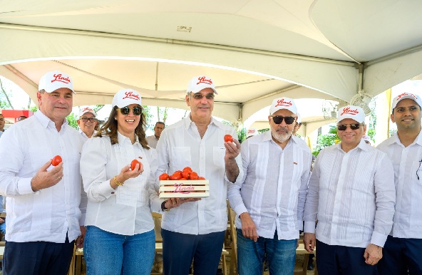 Presidente Luis Abinader resalta a Grupo Linda como “presente y futuro del campo dominicano” al conocer primera cosechadora de tomate del país